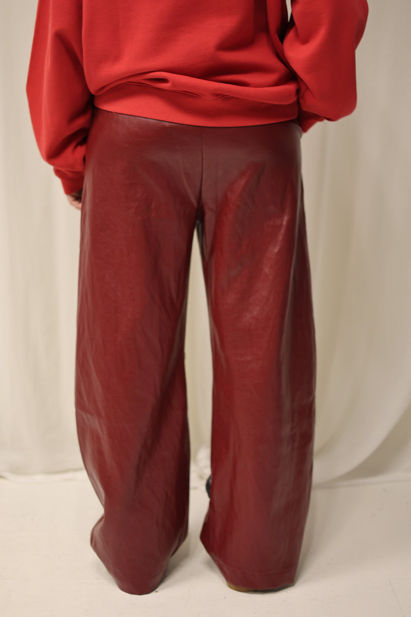 ARIA PANT - Rood